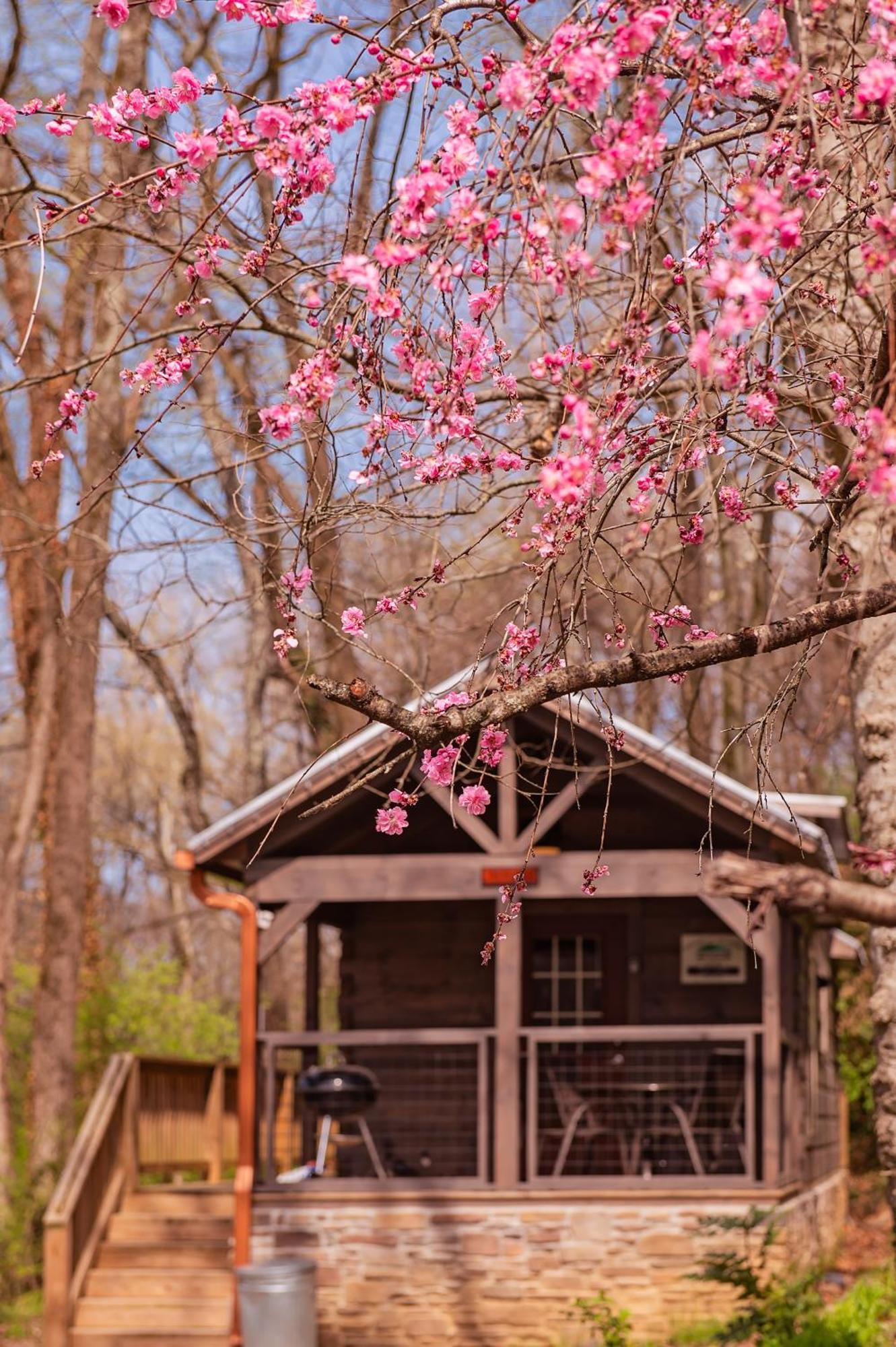 Ryon Tiny Home Cabin City-Side Rustic Retreat Chattanooga Eksteriør billede
